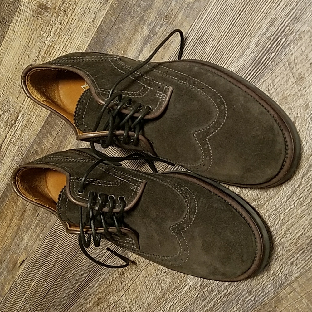 Aquatalia Olive Green Suede Wingtip Oxfords